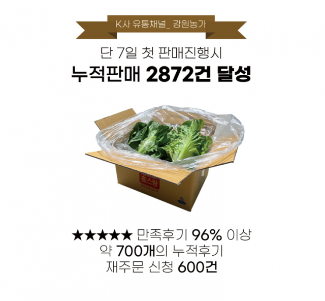 강원더몰,유기농 쌈채 꾸러미(생채&로메인) 1kg